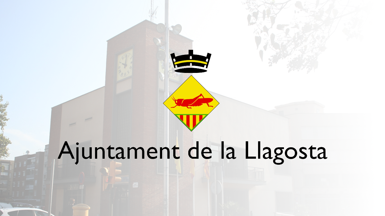 Imagen de portada de la institución Ajuntament De La Llagosta